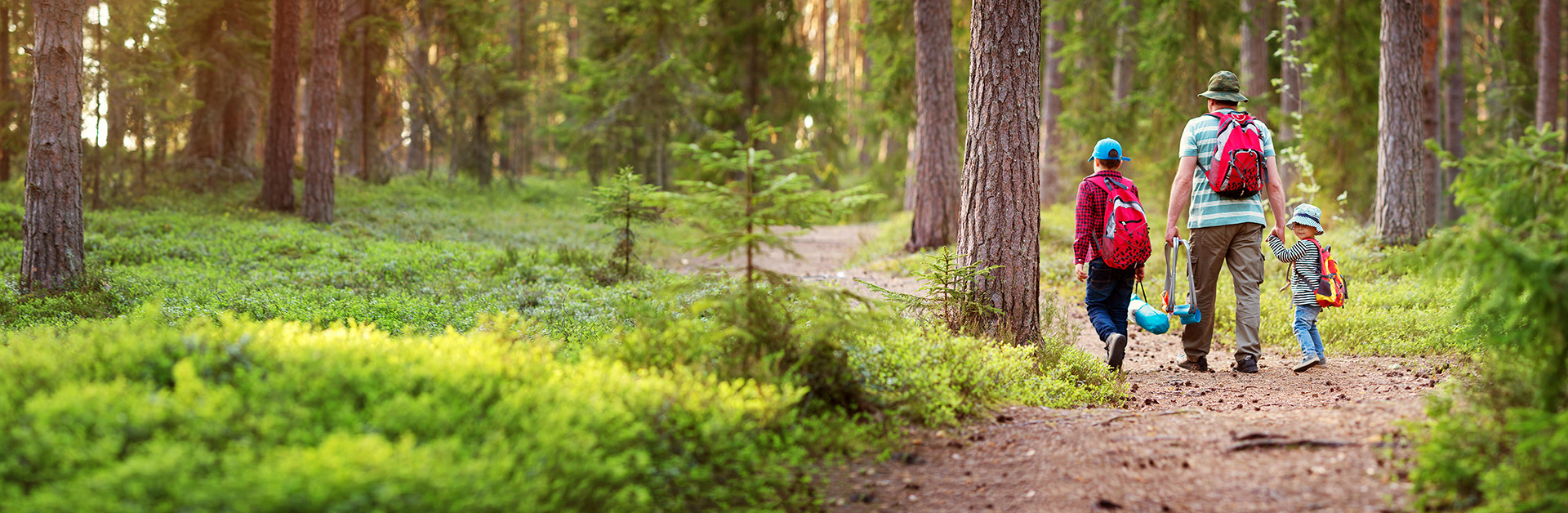parent walking two children through forest